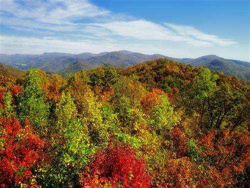 Move to Georgia