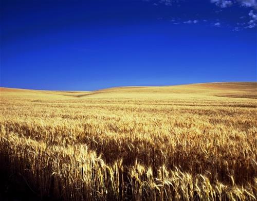 Kansas move to Kansas